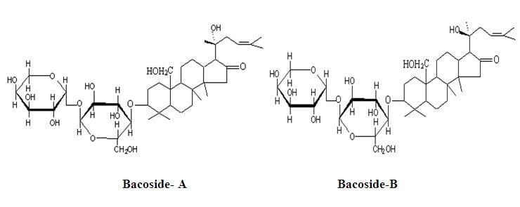 bacopa monnieri extract